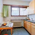 Of The Spots - Happy * Lugano